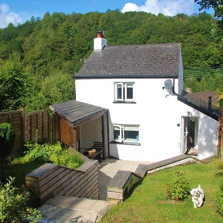 Peacock Cottage Cinderford Bagian luar foto