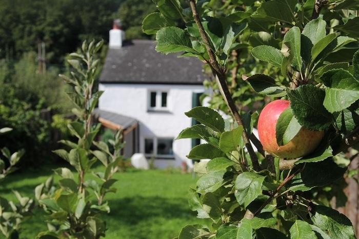 Peacock Cottage Cinderford Ruang foto